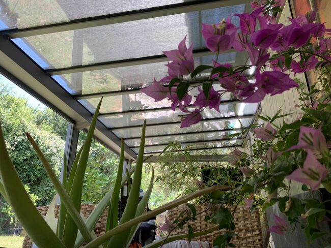 toit terrasse auch toit terrasse auch