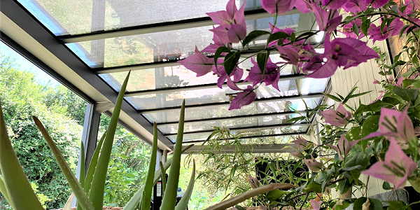 menuiserie auvent auch